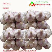 2011 buy China white garlic fresh price